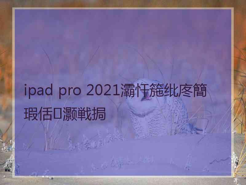 ipad pro 2021灞忓箷纰庝簡瑕佸灏戦挶