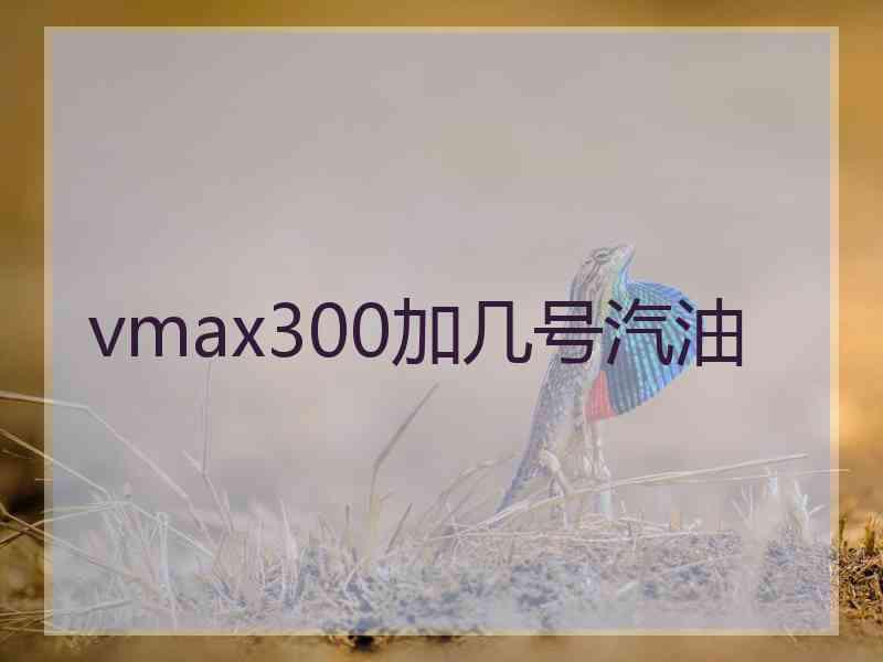 vmax300加几号汽油