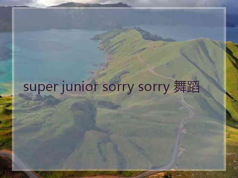 super junior sorry sorry 舞蹈