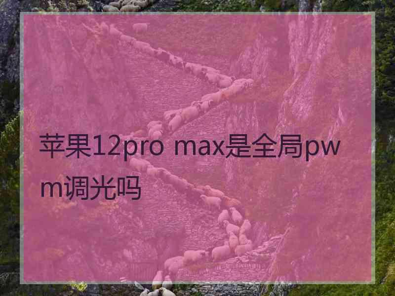 苹果12pro max是全局pwm调光吗