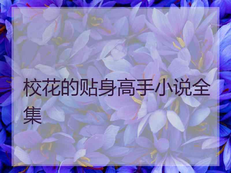 校花的贴身高手小说全集