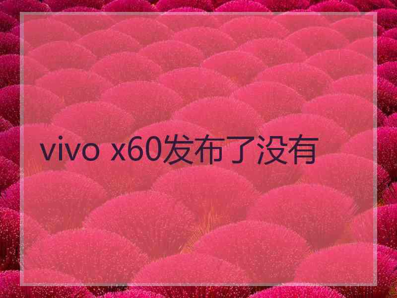 vivo x60发布了没有