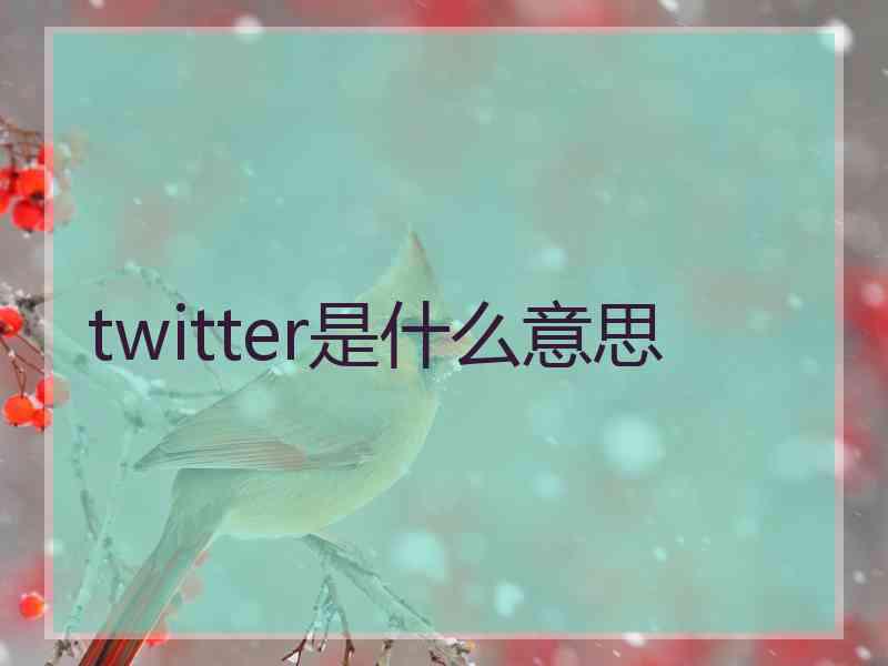 twitter是什么意思