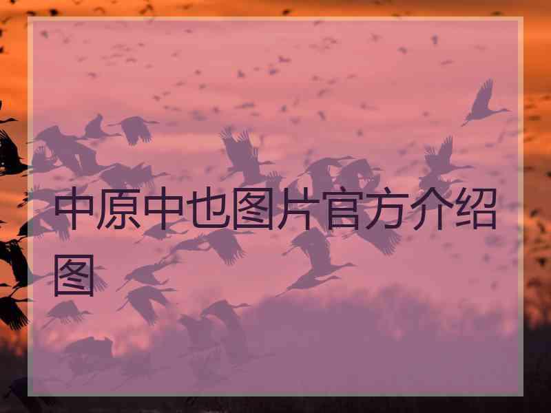 中原中也图片官方介绍图