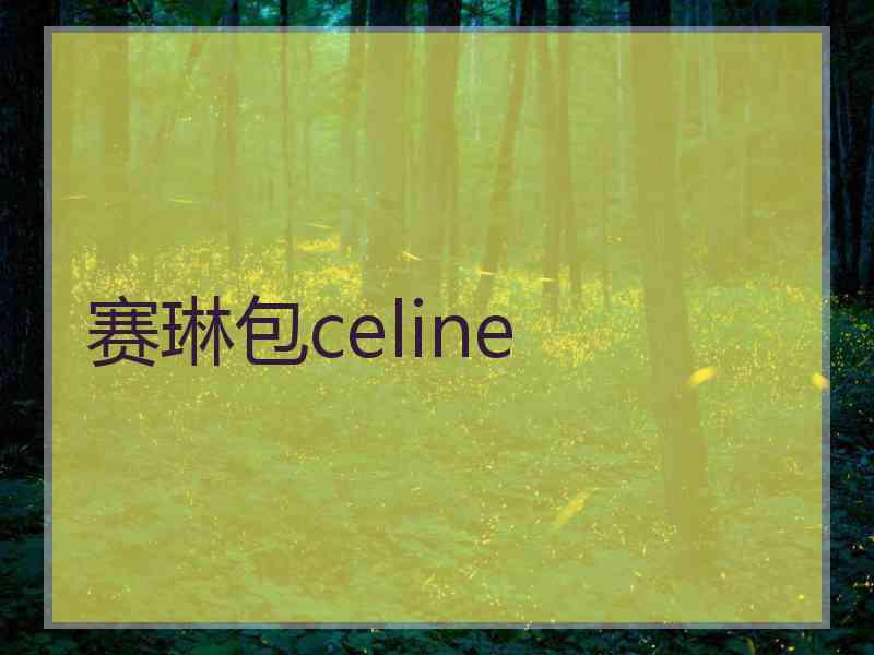 赛琳包celine