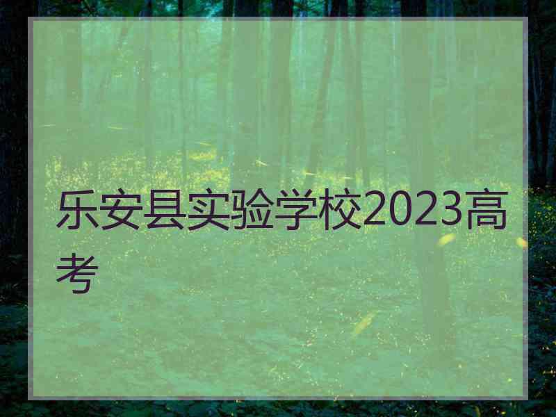 乐安县实验学校2023高考