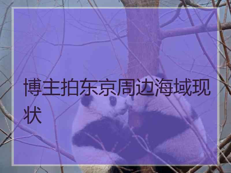 博主拍东京周边海域现状