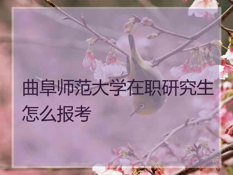 曲阜师范大学在职研究生怎么报考