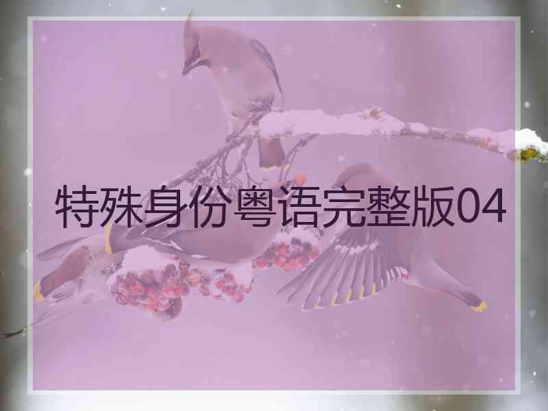 特殊身份粤语完整版04