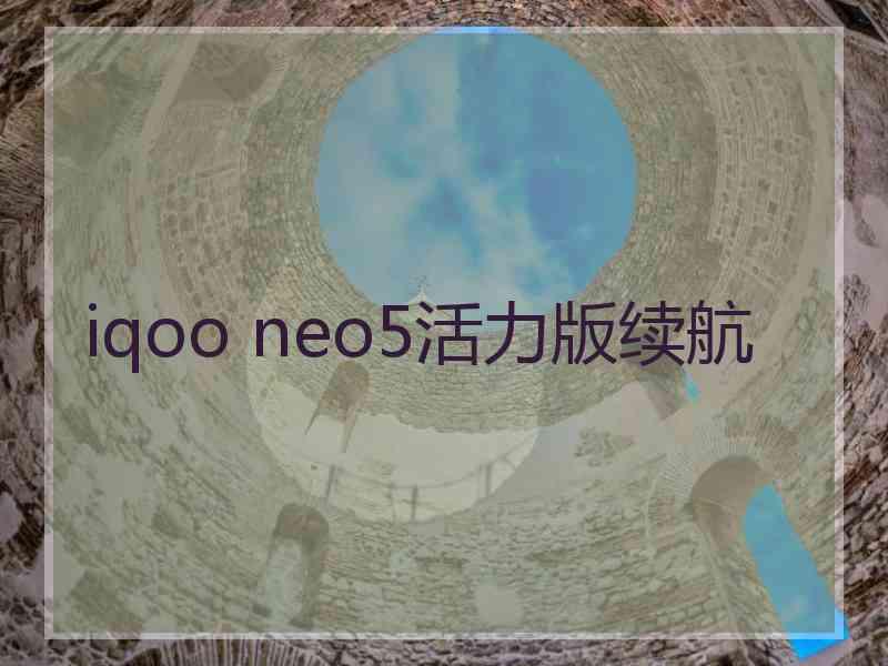 iqoo neo5活力版续航