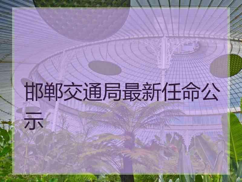 邯郸交通局最新任命公示