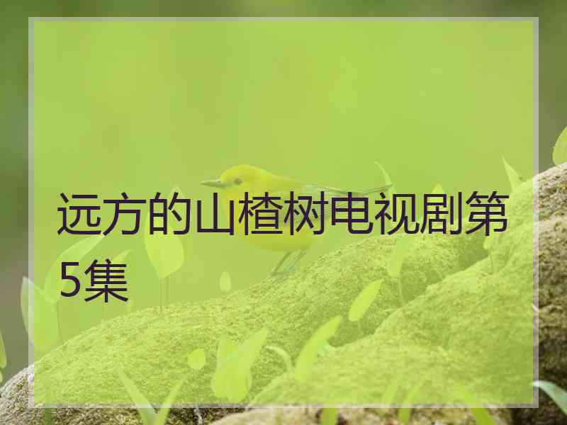 远方的山楂树电视剧第5集