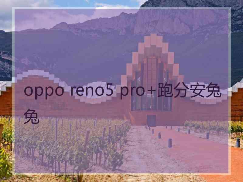 oppo reno5 pro+跑分安兔兔