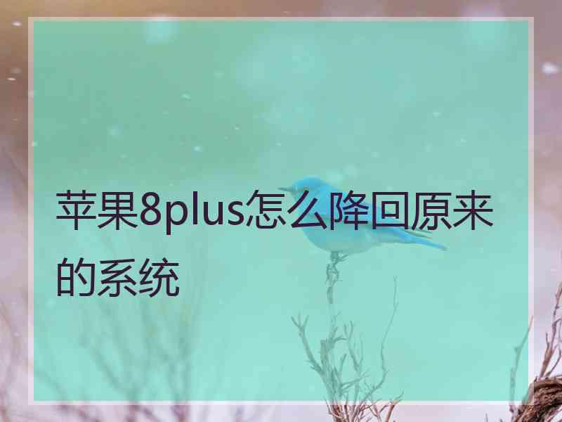 苹果8plus怎么降回原来的系统