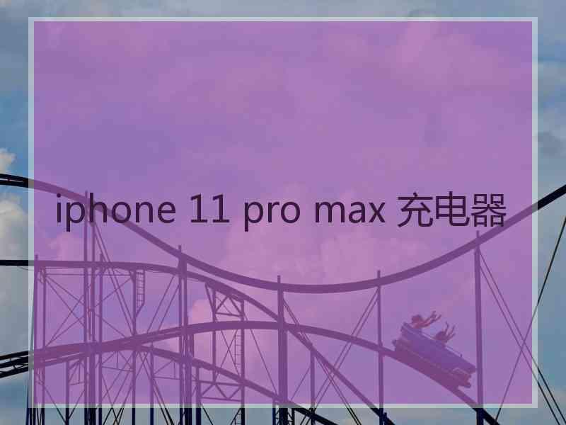 iphone 11 pro max 充电器