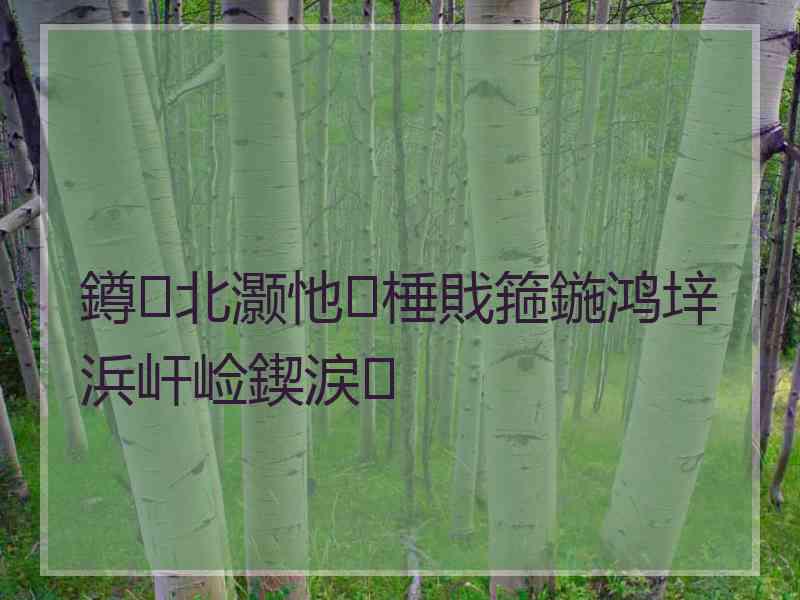 鐏北灏忚棰戝箍鍦鸿垶浜屽崄鍥涙