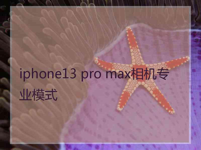 iphone13 pro max相机专业模式