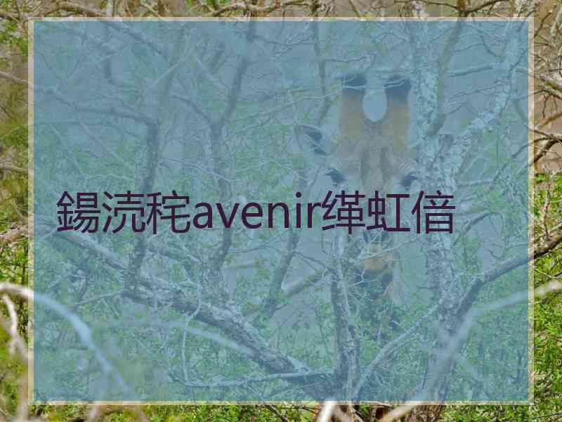 鍚涜秺avenir缂虹偣