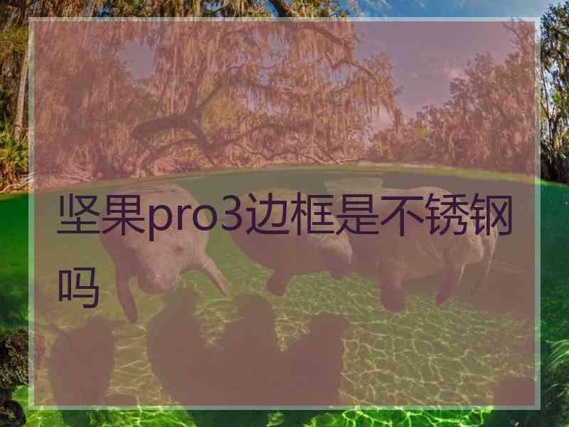 坚果pro3边框是不锈钢吗