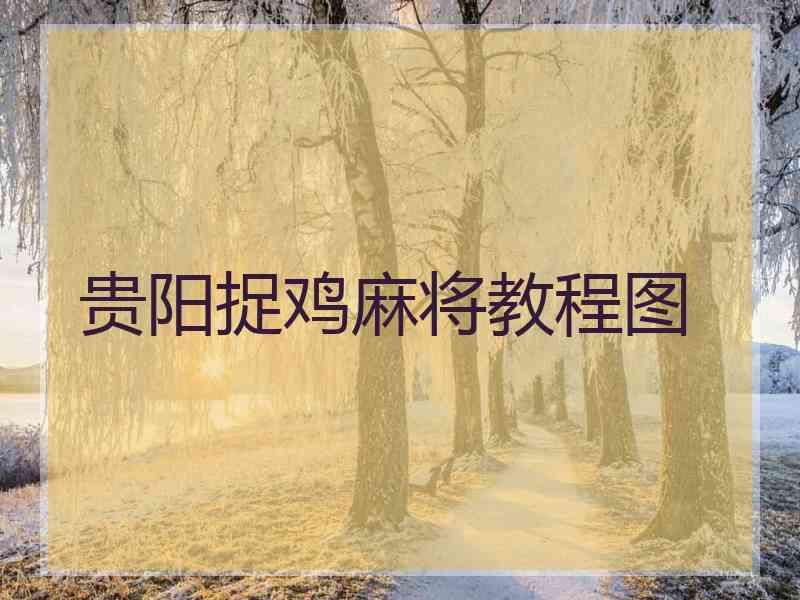 贵阳捉鸡麻将教程图