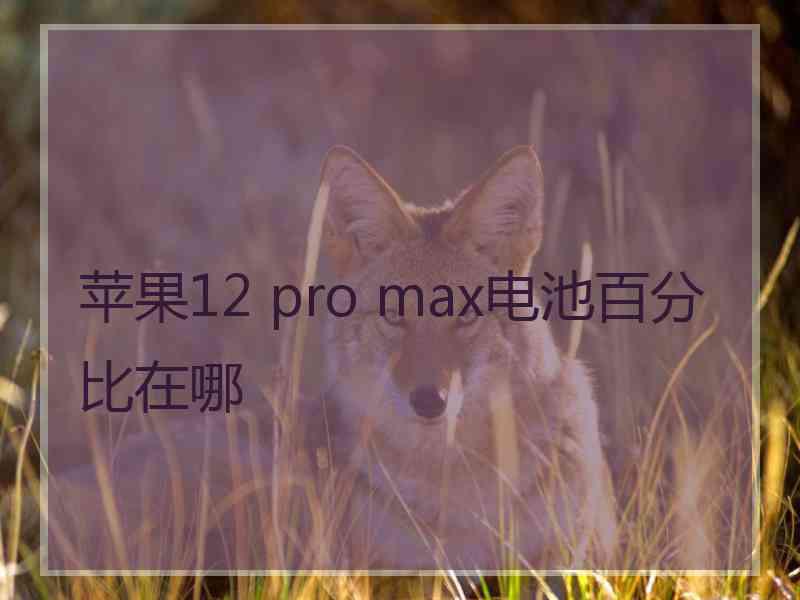 苹果12 pro max电池百分比在哪