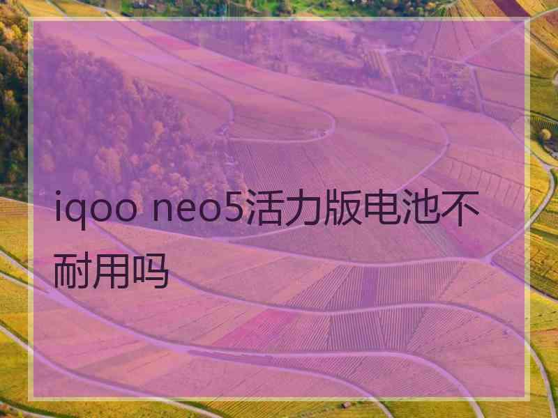 iqoo neo5活力版电池不耐用吗