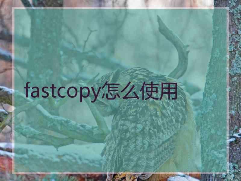 fastcopy怎么使用