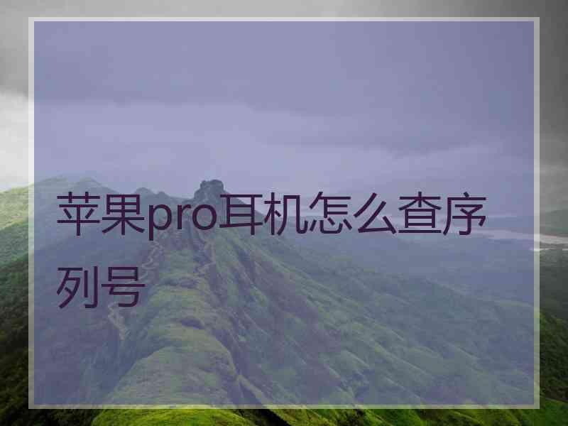 苹果pro耳机怎么查序列号