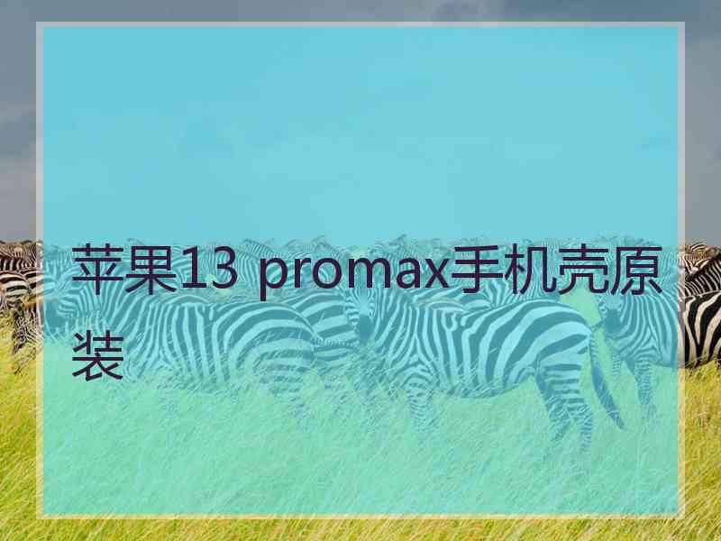 苹果13 promax手机壳原装