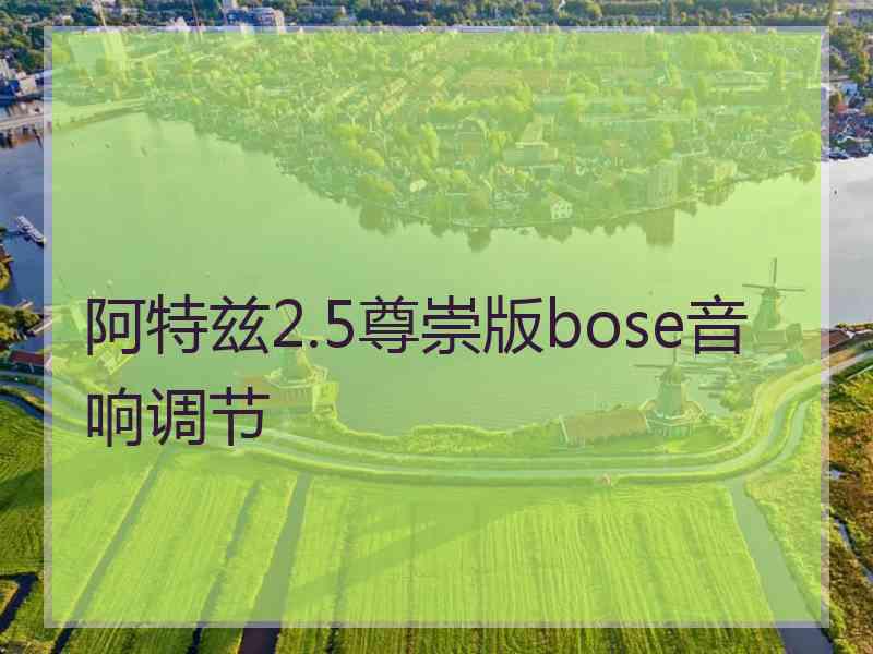 阿特兹2.5尊崇版bose音响调节