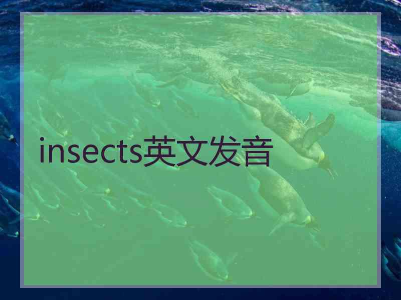 insects英文发音