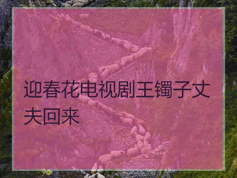 迎春花电视剧王镯子丈夫回来