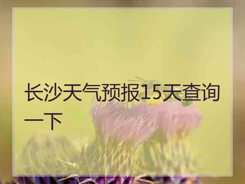 长沙天气预报15天查询一下