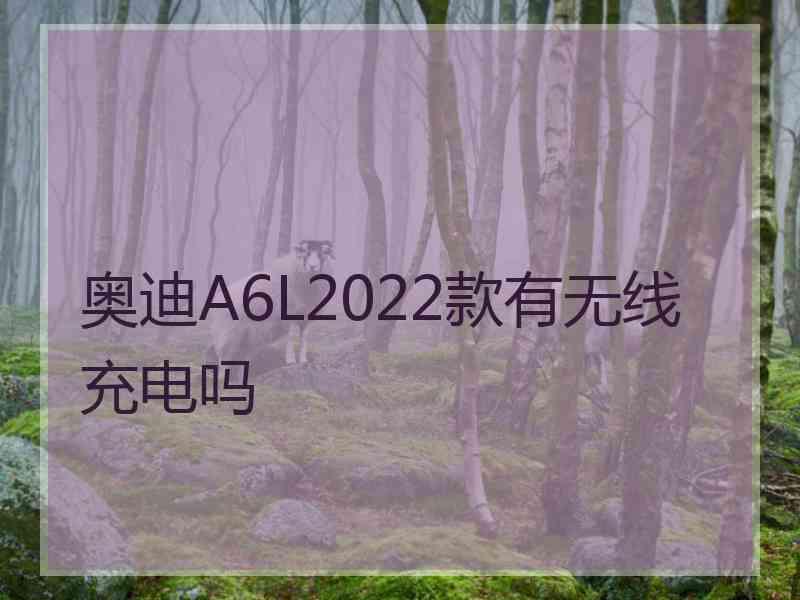 奥迪A6L2022款有无线充电吗