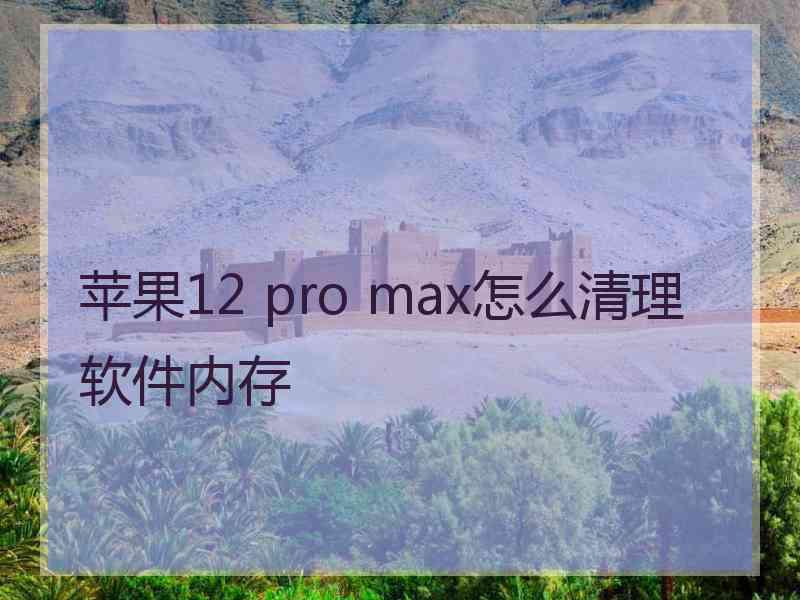 苹果12 pro max怎么清理软件内存