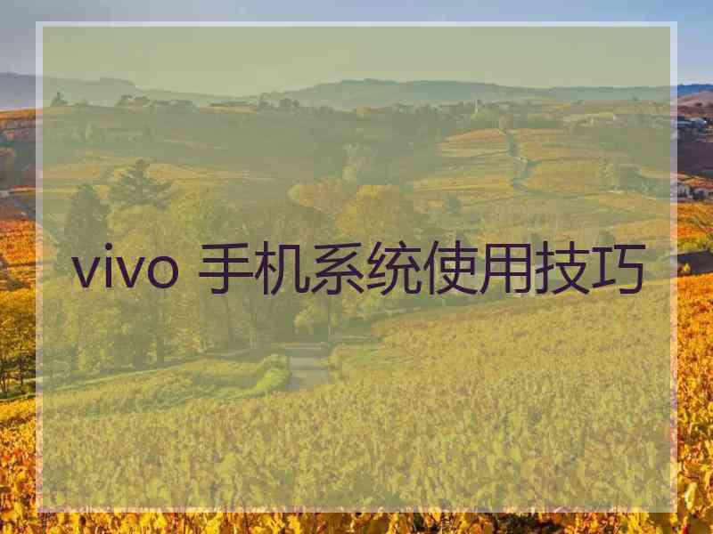 vivo 手机系统使用技巧