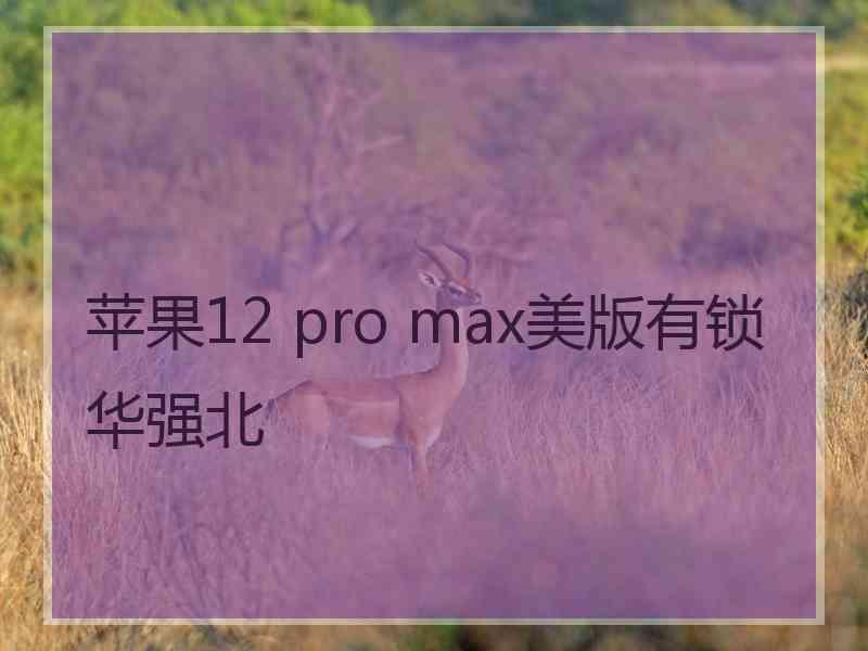 苹果12 pro max美版有锁华强北