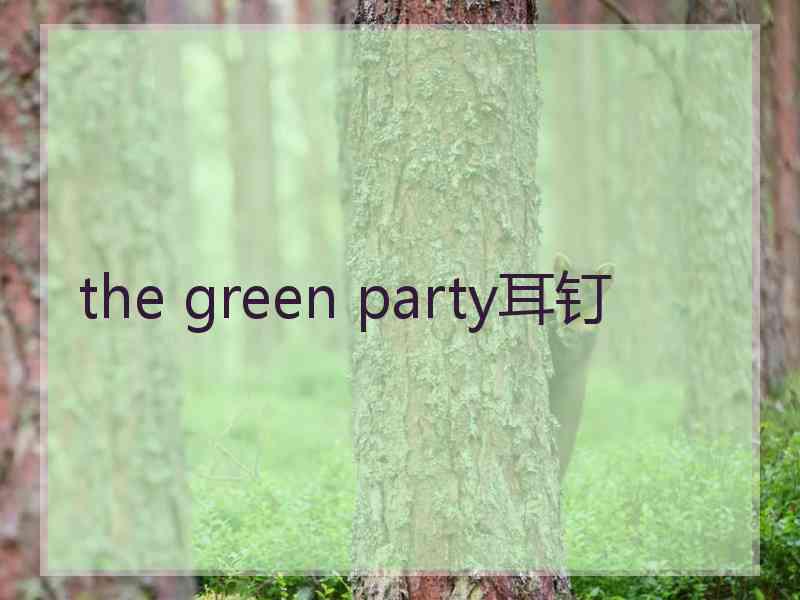 the green party耳钉