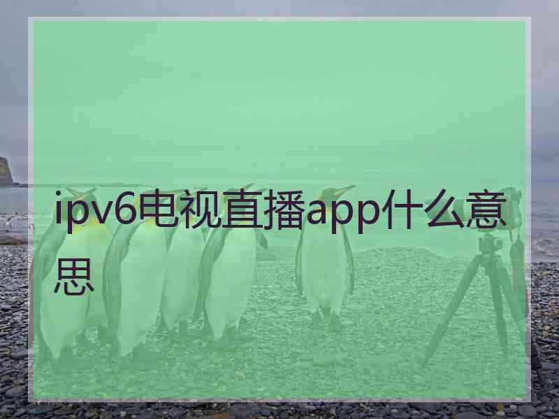 ipv6电视直播app什么意思