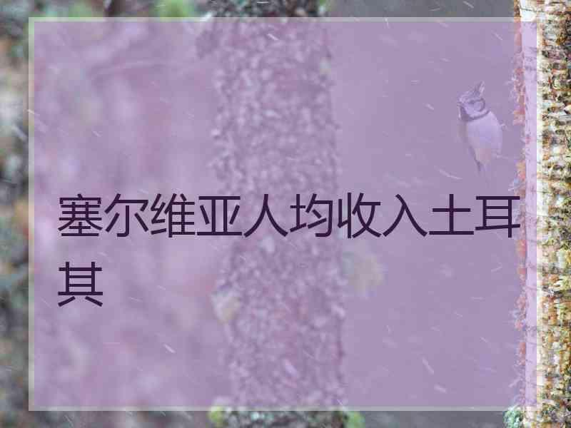 塞尔维亚人均收入土耳其