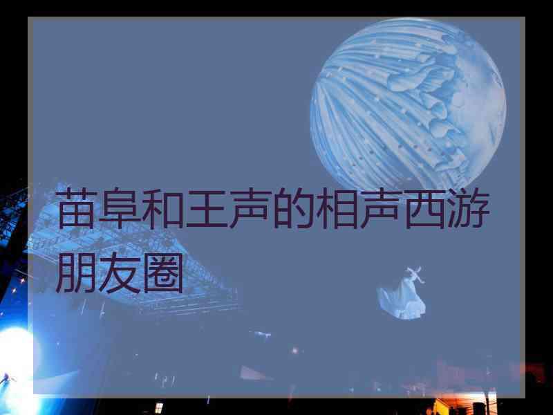 苗阜和王声的相声西游朋友圈