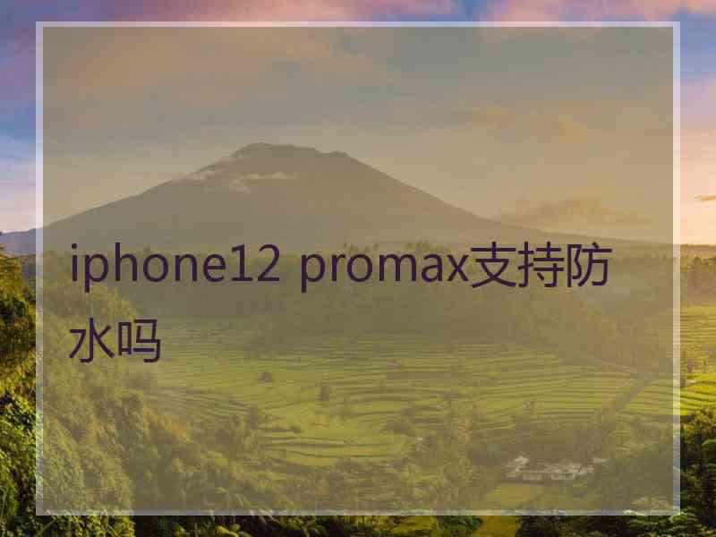 iphone12 promax支持防水吗