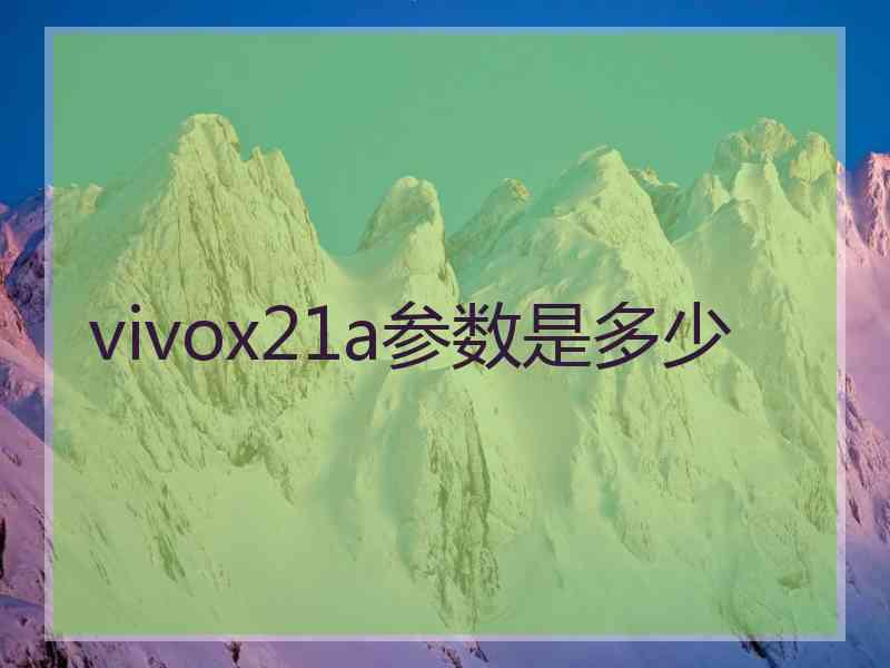 vivox21a参数是多少