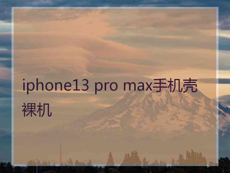 iphone13 pro max手机壳裸机