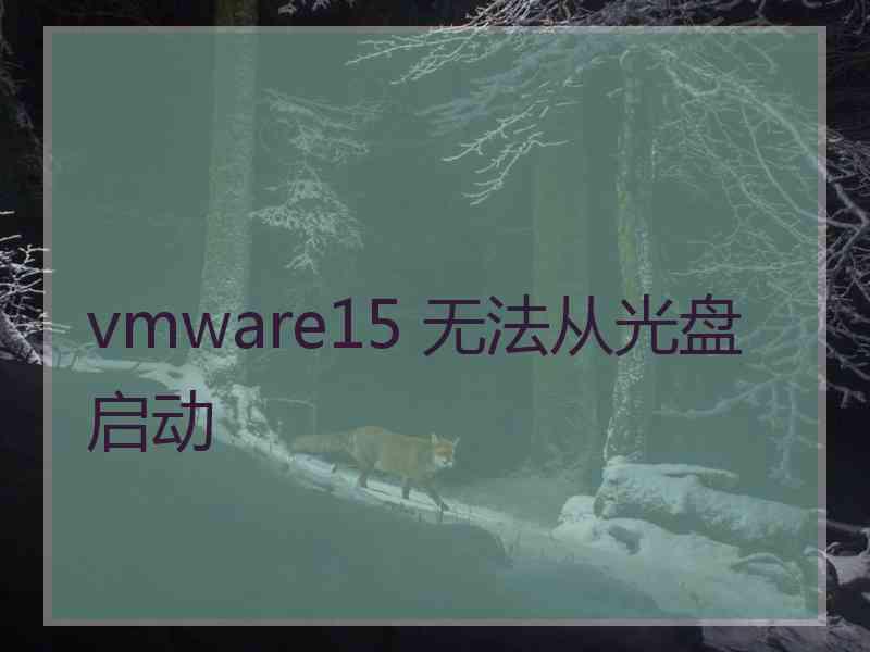 vmware15 无法从光盘启动