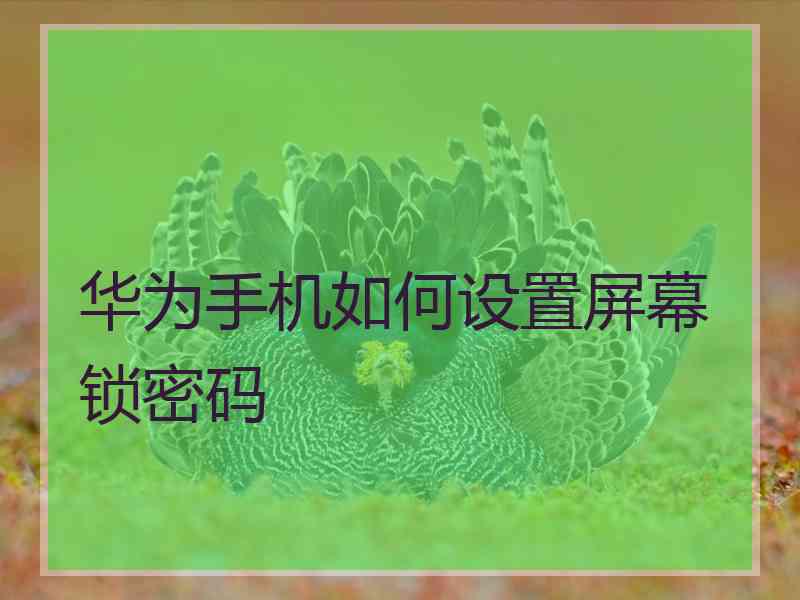 华为手机如何设置屏幕锁密码