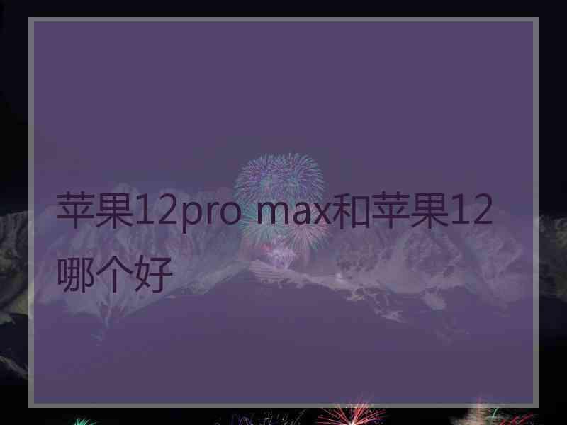 苹果12pro max和苹果12哪个好