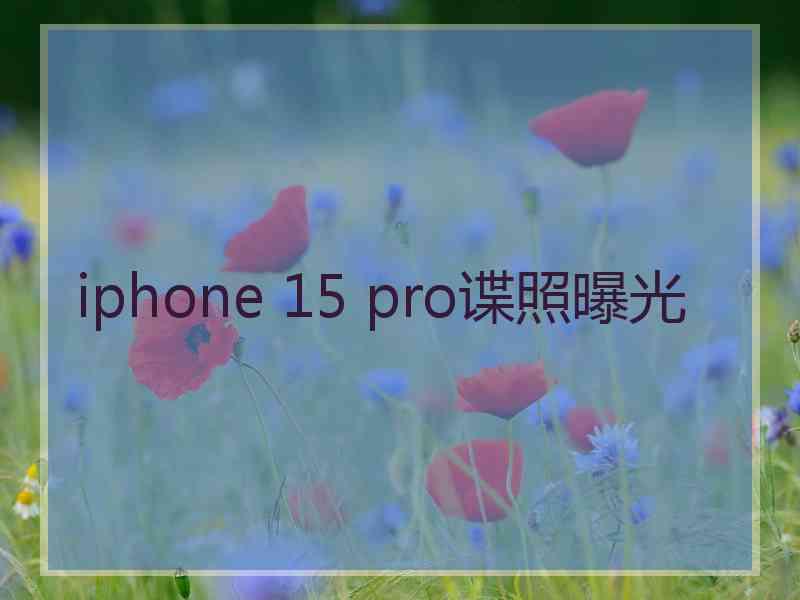 iphone 15 pro谍照曝光