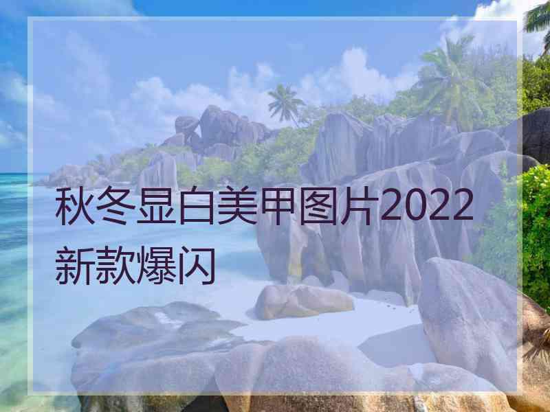 秋冬显白美甲图片2022新款爆闪