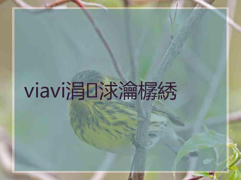 viavi涓浗瀹樼綉